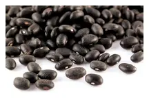 Black Turtle Beans