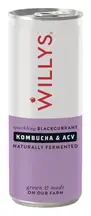 Blackcurrant Switchel 250ml (Willy's)