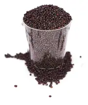 Broccoli Seeds, Organic 250g (Aconbury Sprouts)