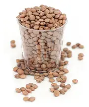 Brown Lentils, Organic 500g (Aconbury Sprouts)