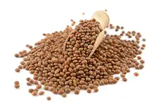 Brown Lentils