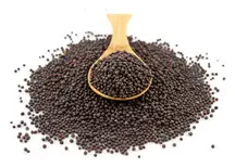Organic Brown Mustard Seeds 1kg (Sussex Wholefoods)
