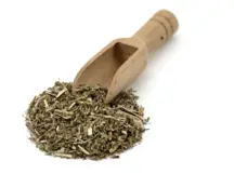 Catnip 500g (Sussex Wholefoods)