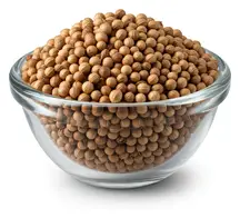 Coriander Seeds 100g