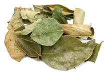 Curry Leaves