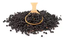 Elderberries 200g (Sussex Wholefoods)