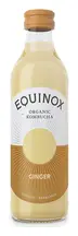 Ginger Kombucha, Organic 275ml (Equinox)