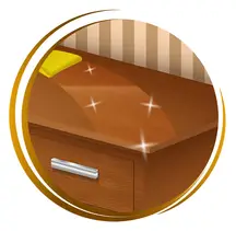 Furniture Polish