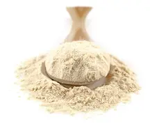 Organic Garlic Powder 250g