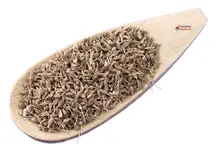 Aniseed