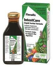 IntestCare 250ml (Floradix)