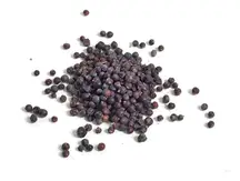 Juniper Berries 50g (Hampshire Foods)