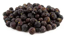 Juniper Berries
