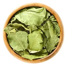 Kaffir Leaves