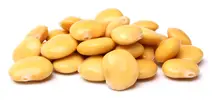 Lupin Beans