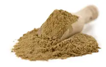 Organic Maitake Mushroom Powder 100g (Sussex Wholefoods)