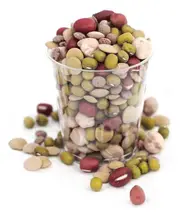 Organic Mixed Beans 500g (Aconbury Sprouts)