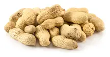 Monkey Nuts 500g (Sussex Wholefoods)