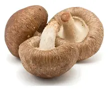 Mushrooms