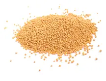 Mustard: Yellow Mustard Seeds 100g (Hampshire Foods)