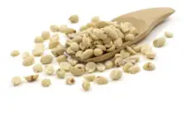 Organic Blanched Peanuts 500g (Sussex Wholefoods)