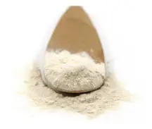 Organic Aloe Vera Powder 100g (Sussex Wholefoods)