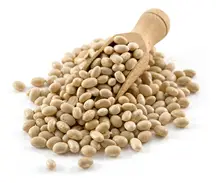 Haricot Beans