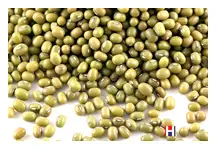 Mung Beans and Moong Dal