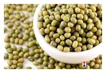Organic Mung Beans 500g (Sussex Wholefoods)