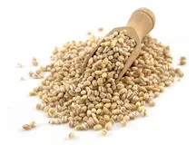 Organic Pot Barley 500g (Sussex Wholefoods)