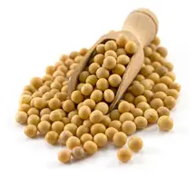 Organic Soya Beans 500g (Sussex Wholefoods)