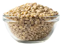 Organic Pearl Barley 500g (Sussex Wholefoods)