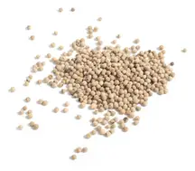 White Peppercorns 50g