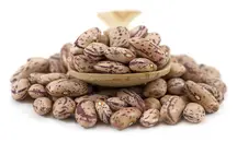 Pinto Beans