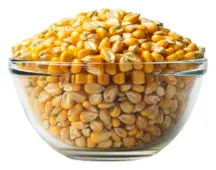 Organic Popping Corn 1kg (Sussex Wholefoods)