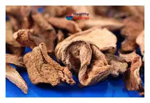 Porcini Mushrooms