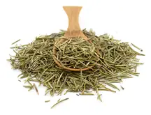 Rosemary