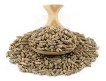 Organic Rye Grain 25kg (Bulk)