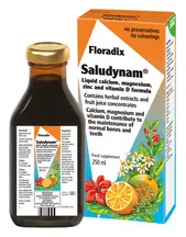 Saludynam 250ml (Floradix)