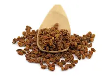 Organic Sea Buckthorn Berries 500g (Sussex Wholefoods)