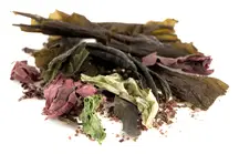 Seaweed