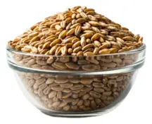 Organic Spelt Grain 25kg (Bulk)