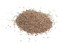Caraway Seeds 100g (Hampshire Foods)