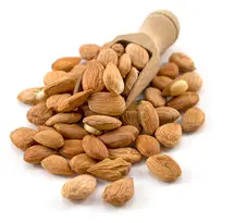 Apricot Kernels