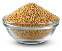 Organic Toasted Sesame Seeds 500g (Sussex Wholefoods)