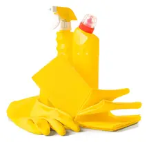Toilet Cleaner