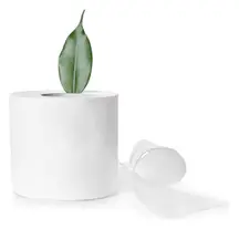 Toilet Paper