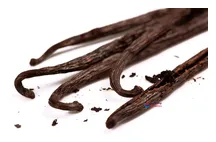 Vanilla