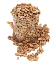 Organic Wheat Grain 5kg (Aconbury Sprouts)