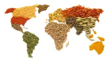 World Food